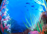 Under the Sea