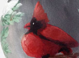 Seasonal Cardinal