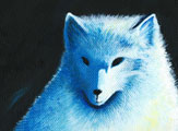Winter's White Fox